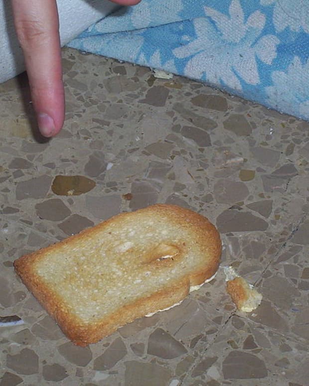 why-does-buttered-toast-fall-face-down