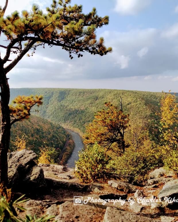 tank-hollow-vista-hike-to-pennsylvanias-most-beautiful-view