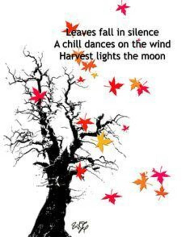 11 Cool Haiku Poems LetterPile