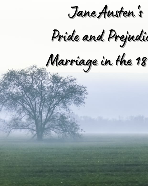 pride-and-prejudice-a-reflection-on-status-quo＂>
                </picture>
                <div class=