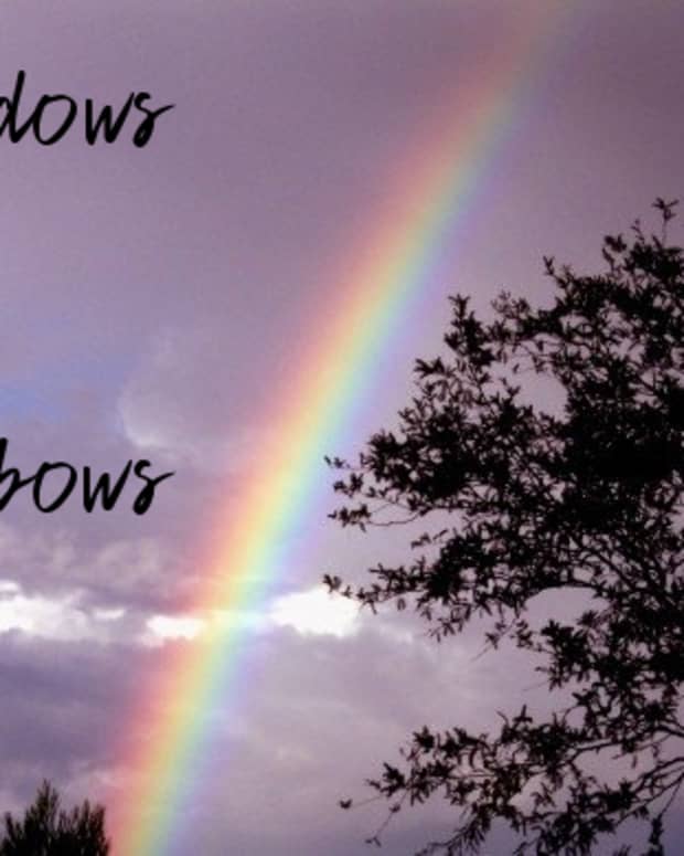 wndows-of-rainbows