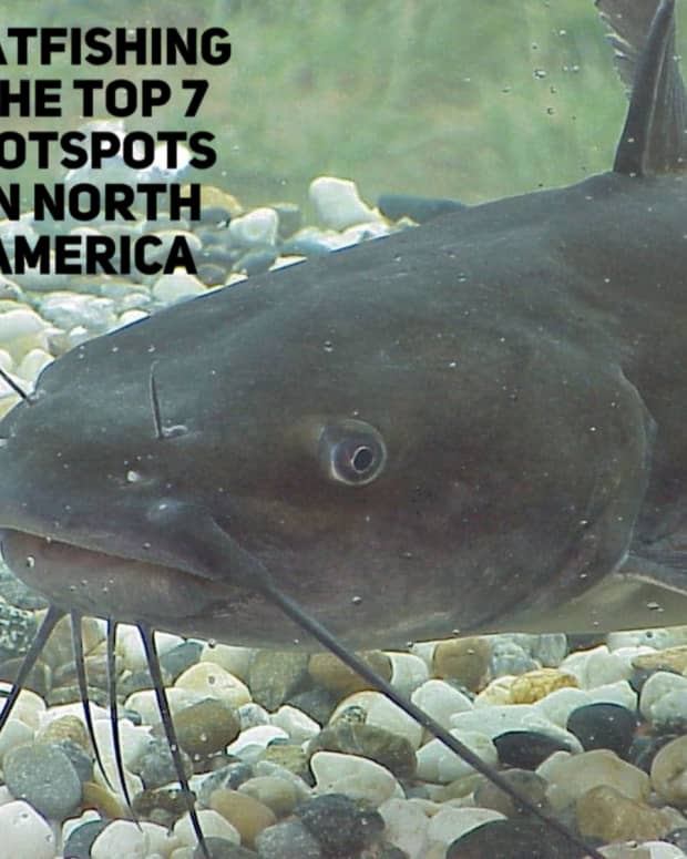 catfishing-america