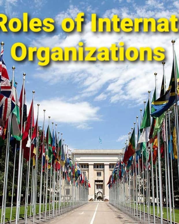 what-are-the-roles-of-international-organizations