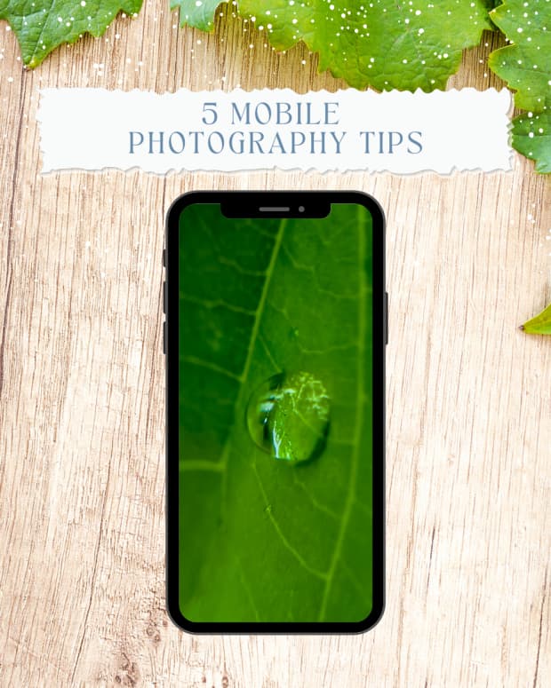 5-mobile-macro-photography-tips