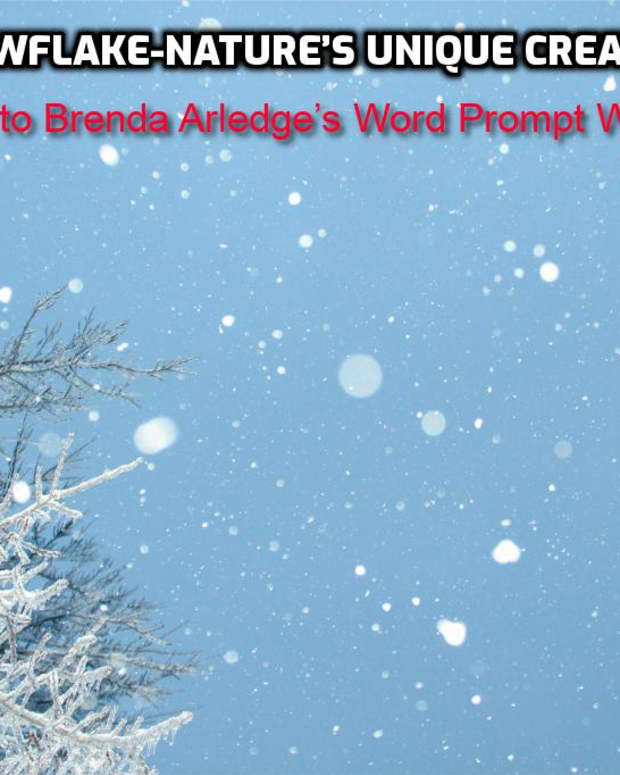 poem-snowflake-natures-unique-creation-response-to-brenda-arledges-word-prompt-week-45