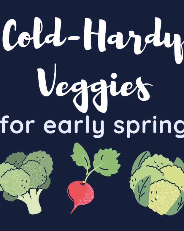 10-best-vegetables-to-plant-in-early-spring