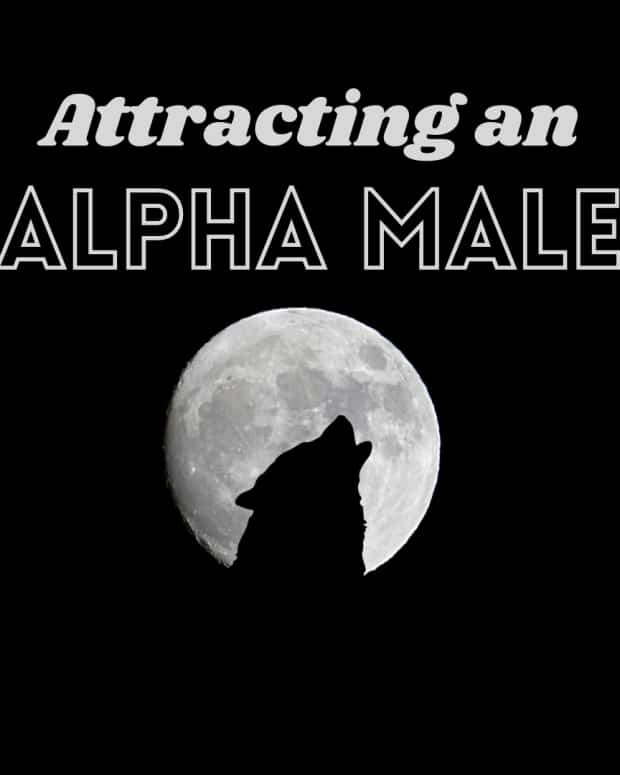 Handling Your Alpha Male Husband PairedLife