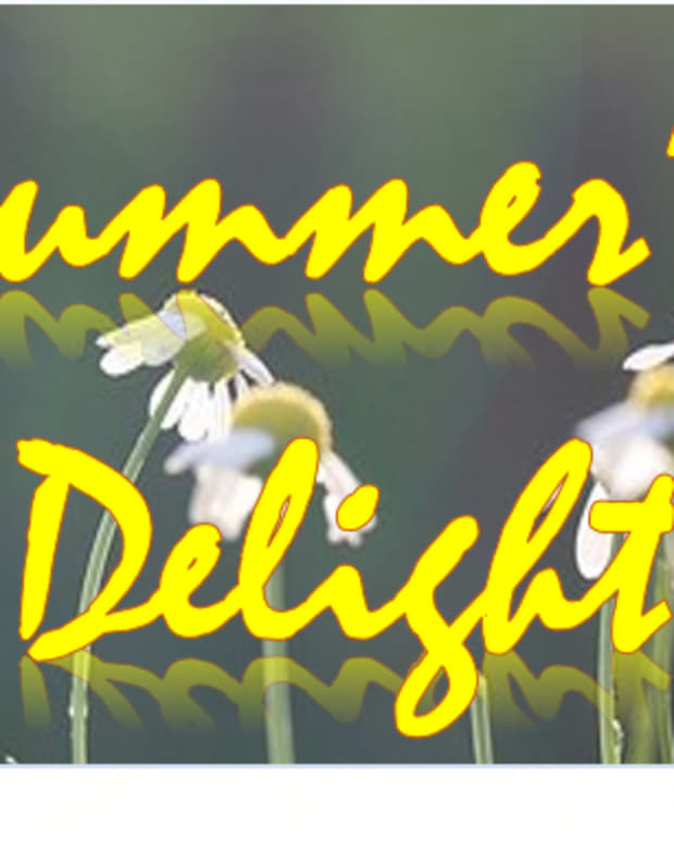 summers-delight