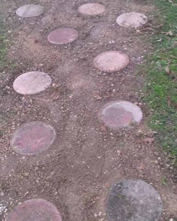 earths-critical-condition