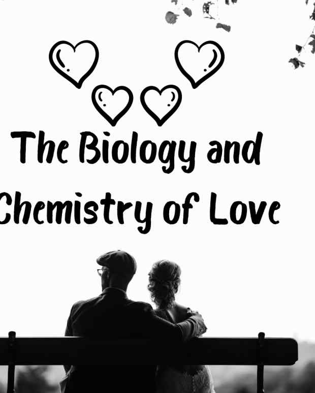 biology-and-chemistry-of-love