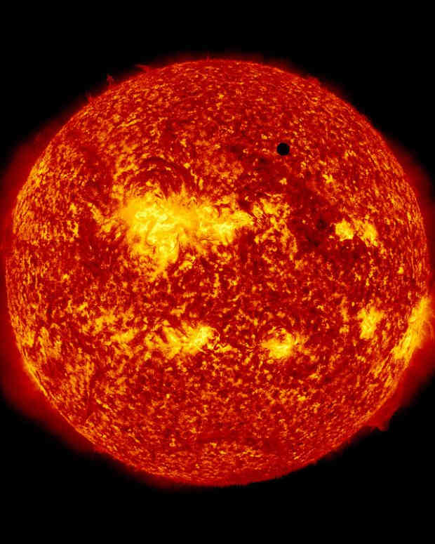 the-transit-of-venus-and-captain-cook