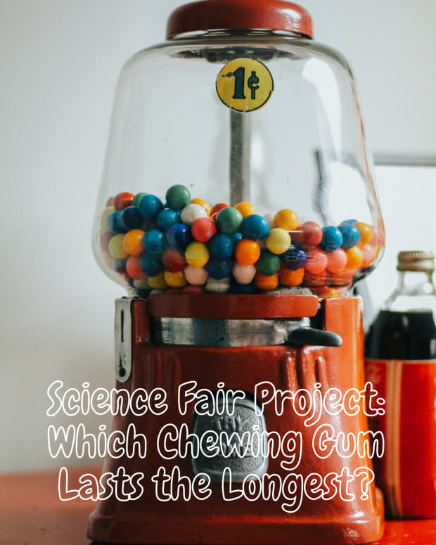 science-fair-project-which-gum-lasts-the-longest