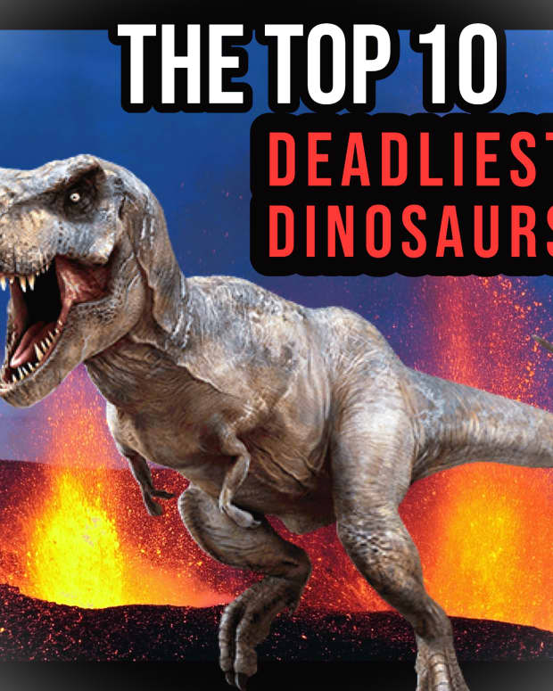 the-top-10-deadliest-dinosaurs