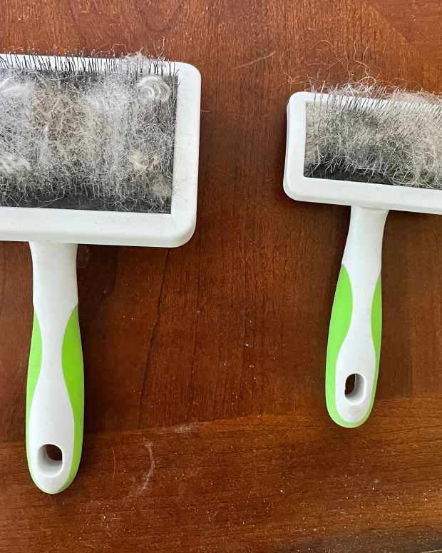 Make Lettuce Tea for Insomnia HubPages