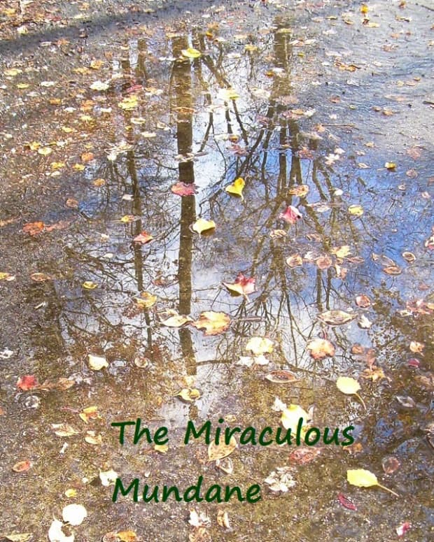 the-miraculous-mundane