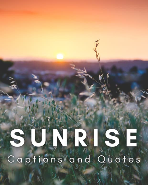 sunrise-quotes-and-caption-ideas