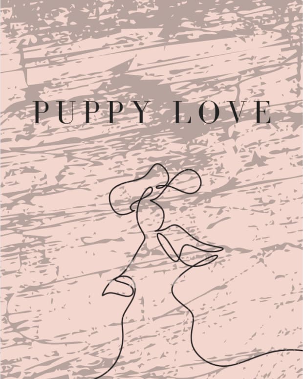 the-puppy-love