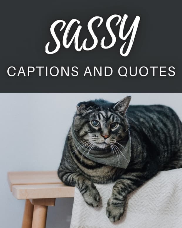 sassy-quotes-and-caption-ideas