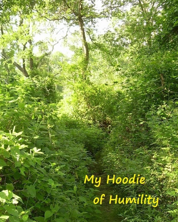 my-humble-hoodie