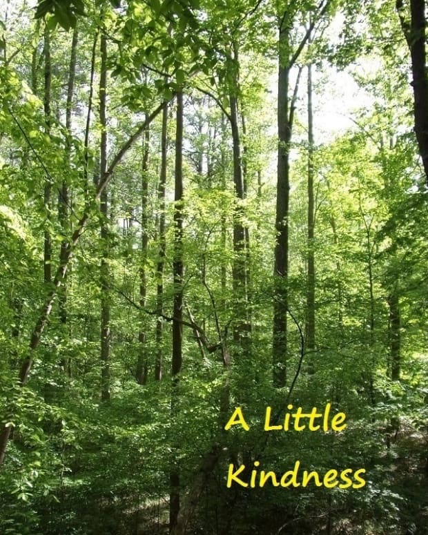 a-little-kindness