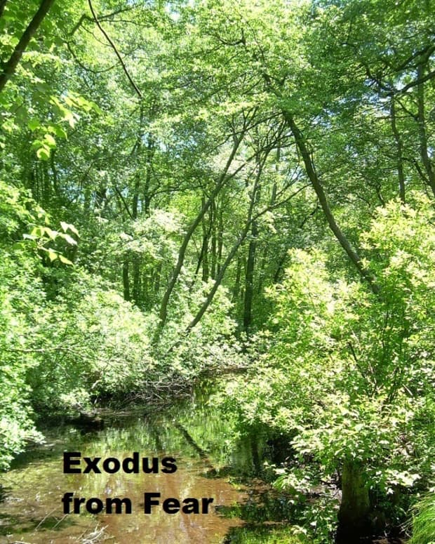 exodus-from-fear