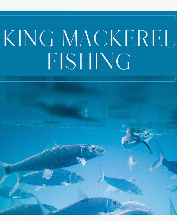 catching-more-king-mackerel