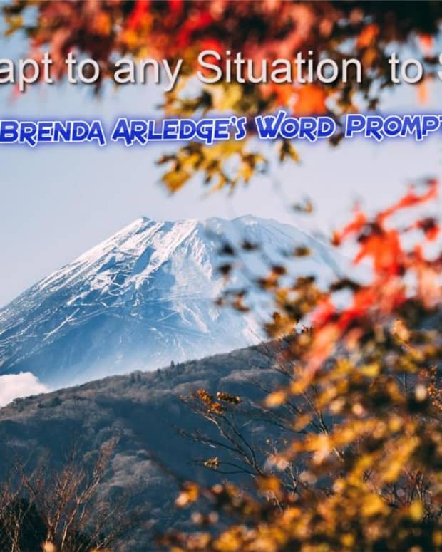 poem-adapt-to-any-situation-to-succeed-response-to-brenda-arledges-word-prompt-week-52-adapt