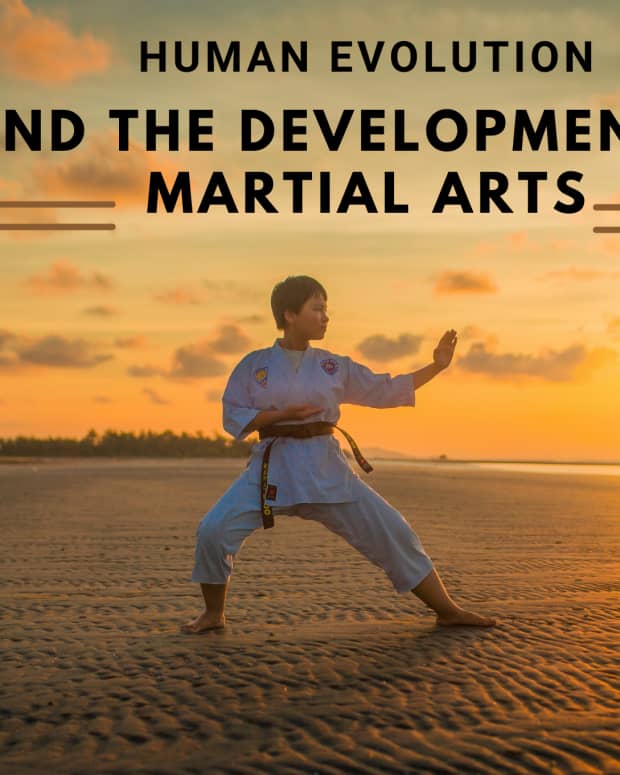 how-human-evolution-allowed-for-the-development-of-martial-arts