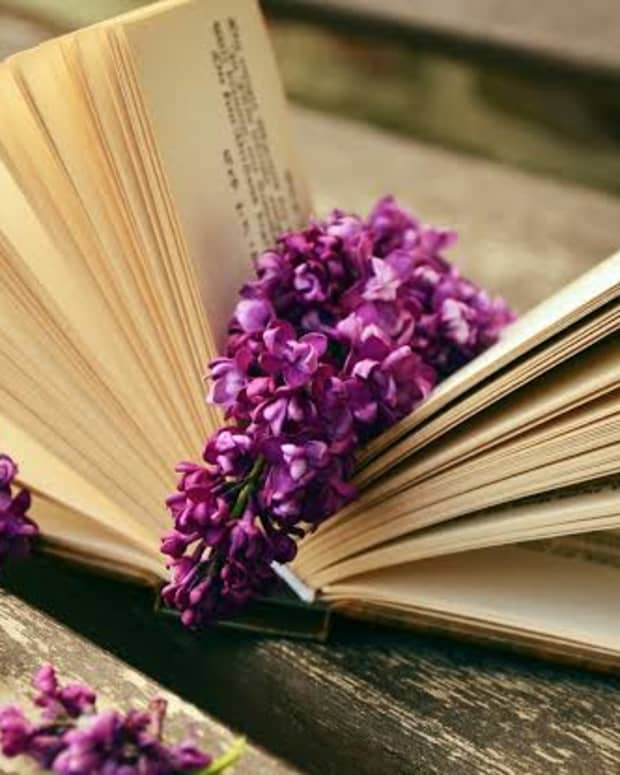 Lilacs in a book - To Marry a Poet
