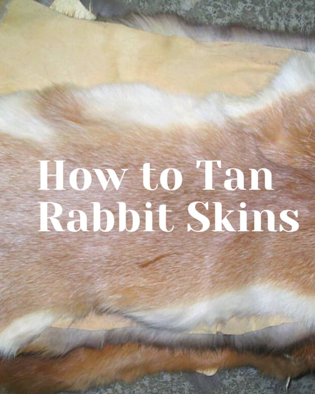 how-to-preserve-and-tan-skins-meat-rabbits