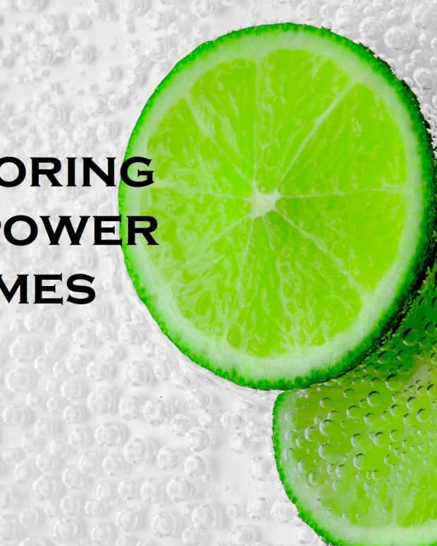 exploring-limes-recipes-to-help-you-harness-the-power-of-sour