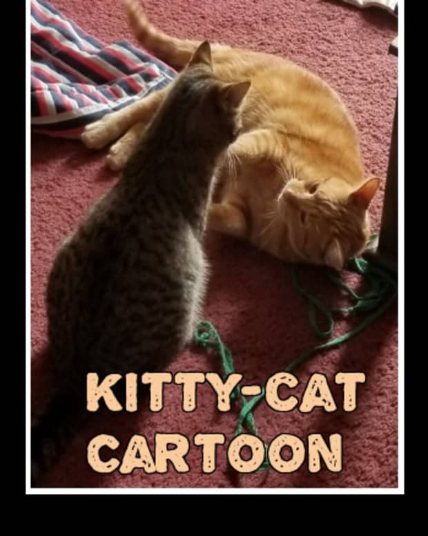 poem-kitty-cat-cartoon