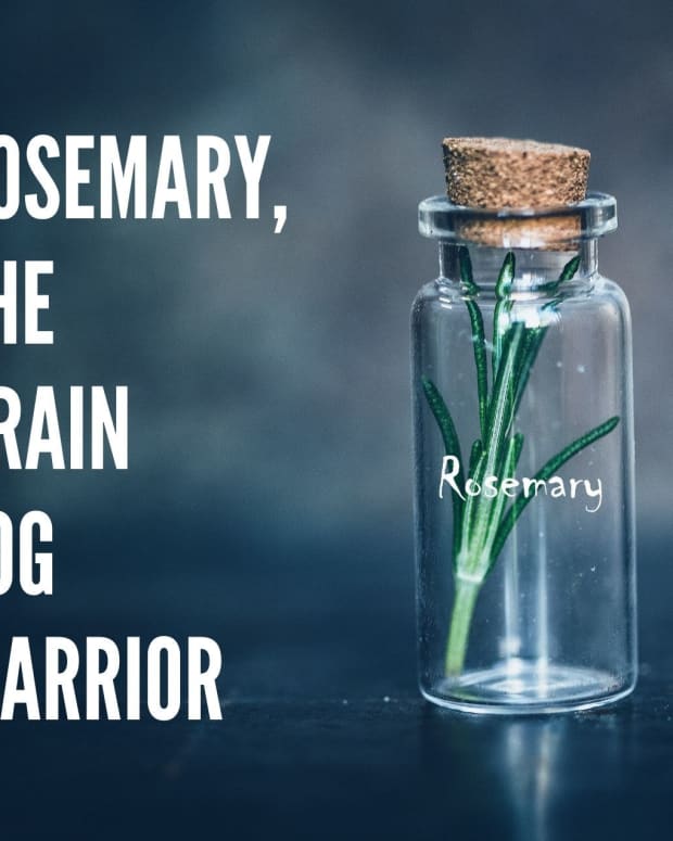 rosemary-the-brain-fog-warrior
