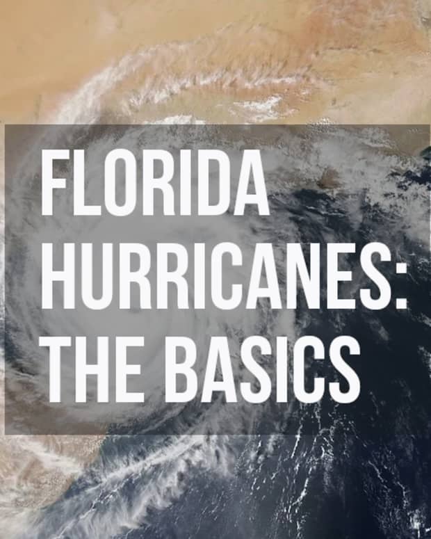 hurricanes-in-florida-a-beginners-guide