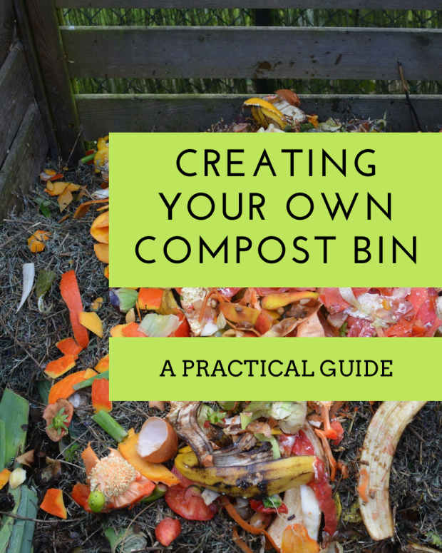 How to Make Your Own Compost and Compost Bin Dengarden