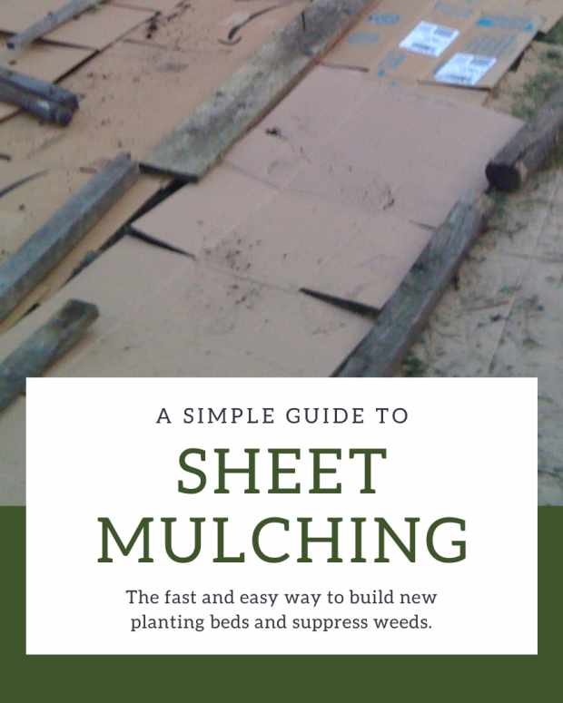 Mulch The Real Scoop Dengarden