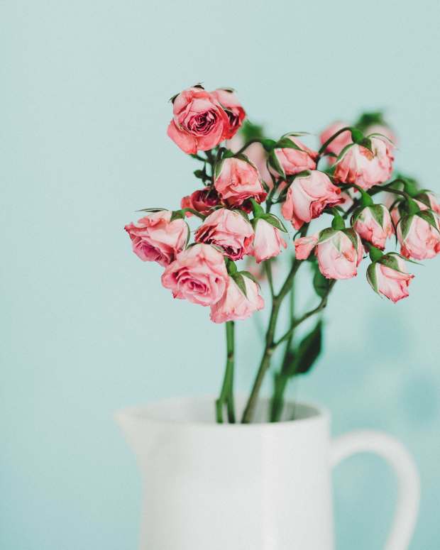 How to Make Bouquets of Cut Flowers Last Longer Dengarden
