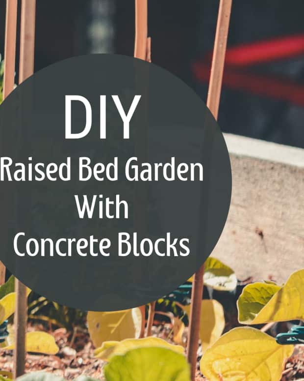 How to Build Cold Frames for a Raised Garden Bed Dengarden