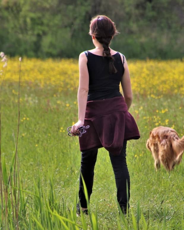 how-to-lose-weight-by-walking-your-dog
