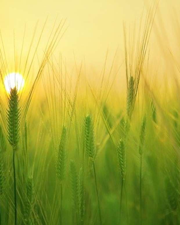 mypreciousjewelslovepoem