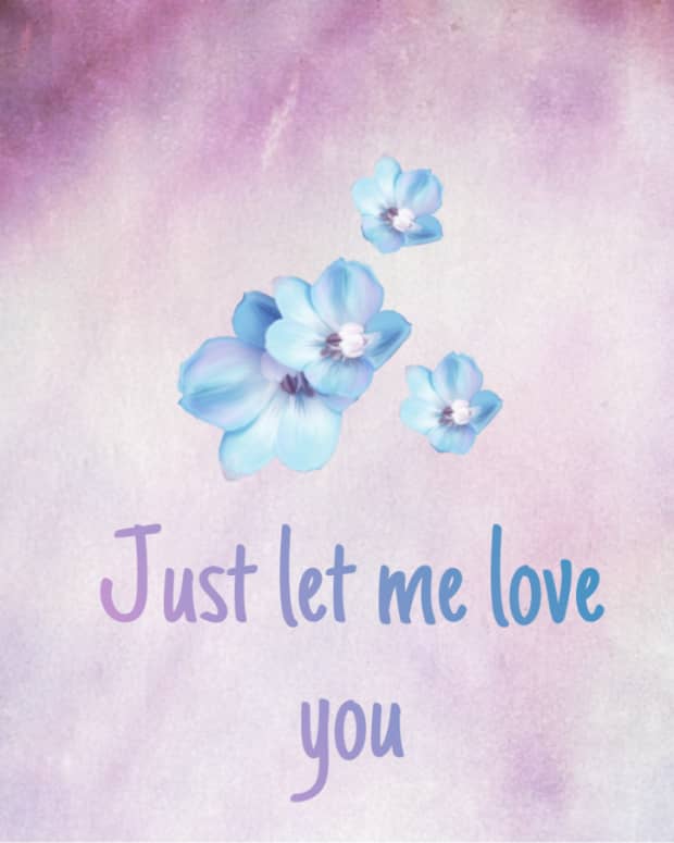 just-let-me-love-you