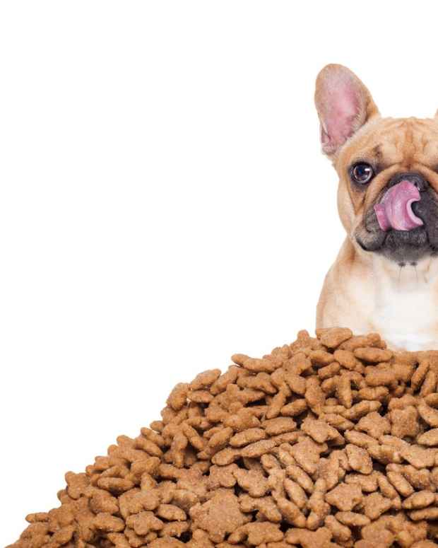 How to Choose the Right Food for Your Dog PetHelpful