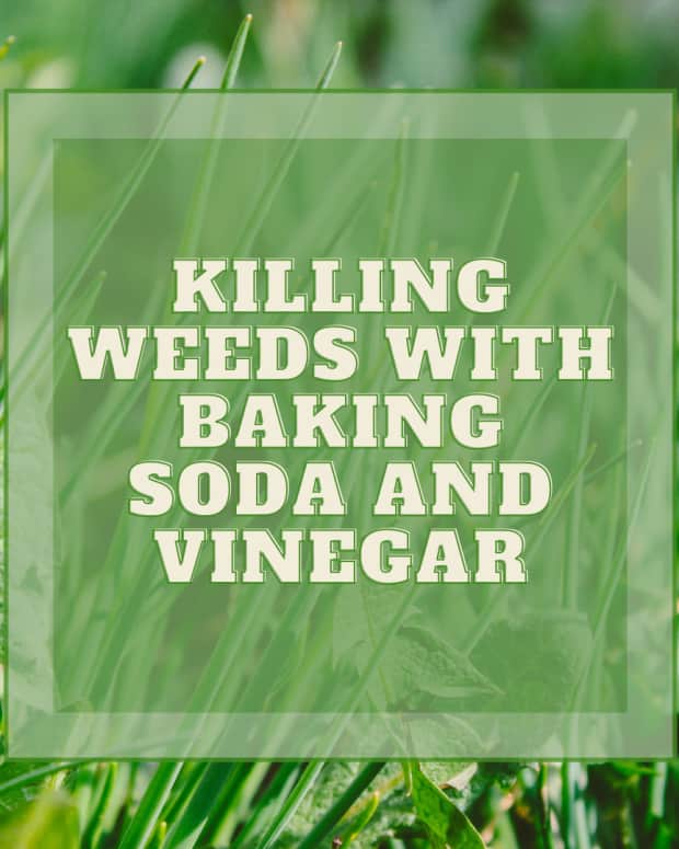 Cleaning With Baking Soda and Vinegar Dengarden