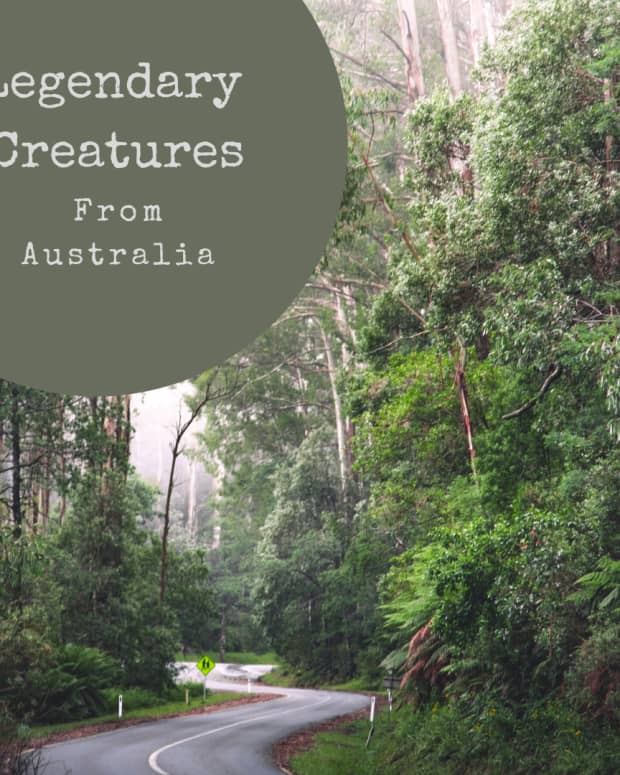 legendary-creatures-of-australian-myth-and-folklore