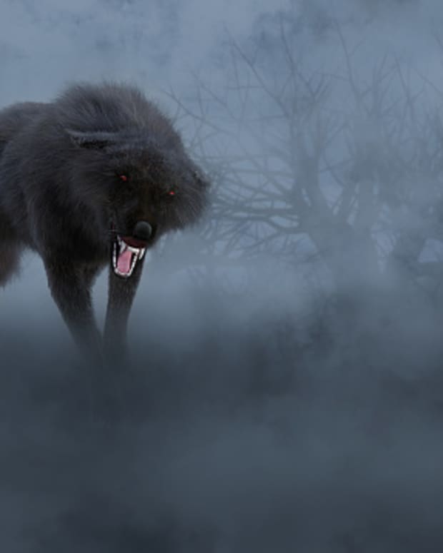 superstitions-and-legends-regarding-wolves