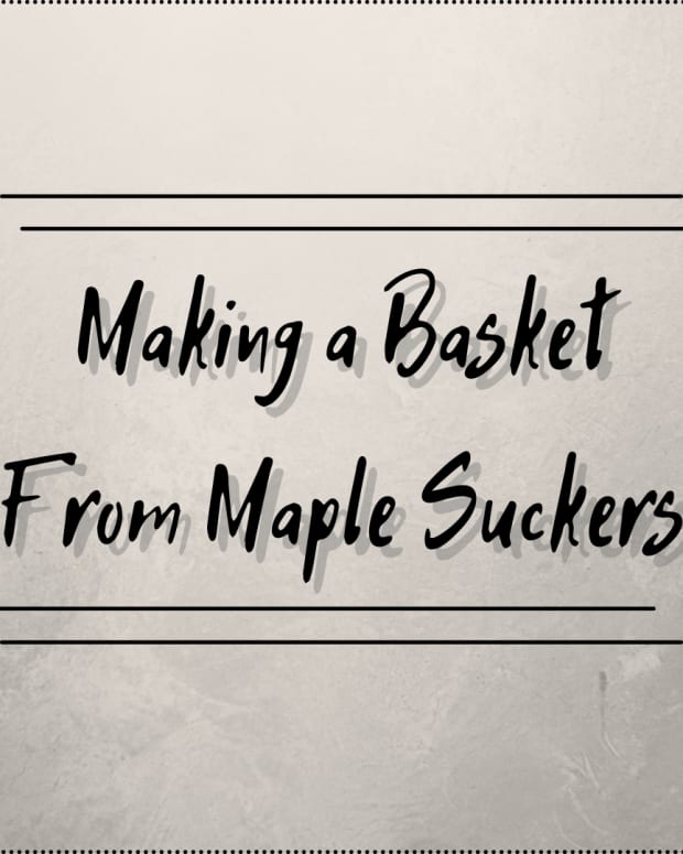 basketry-from-maple-suckers-what-not-to-do