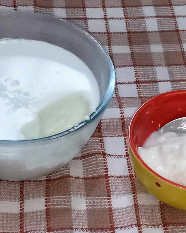 How to Make Greek Yoghurt (Hung Curd) From Regular Yoghurt Delishably
