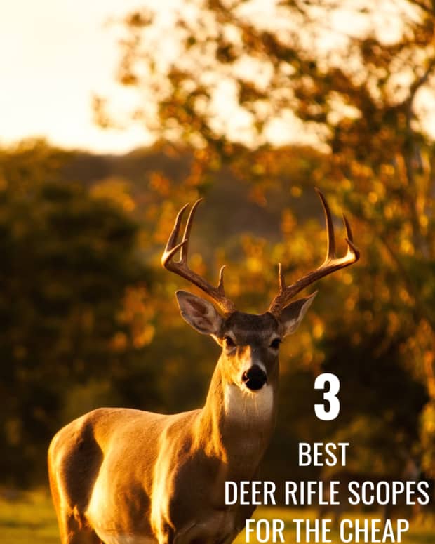 best-3-deer-rifle-scopes-for-the-cheap-hunter