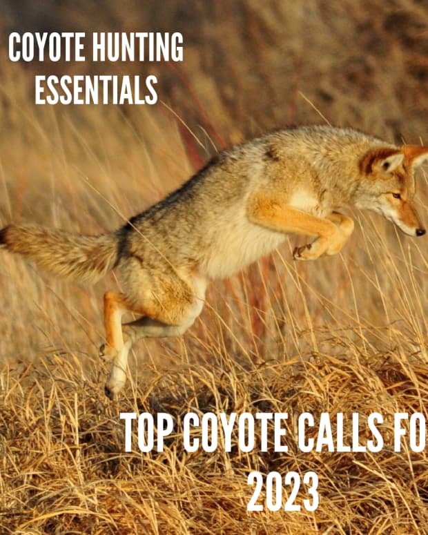 coyote-hunting-gear-3-best-predator-calls