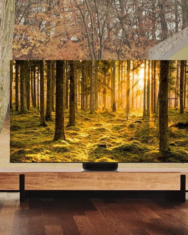 best-oled-tvs＂>
                </picture>
                <div class=
